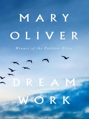 cover image of Dream Work